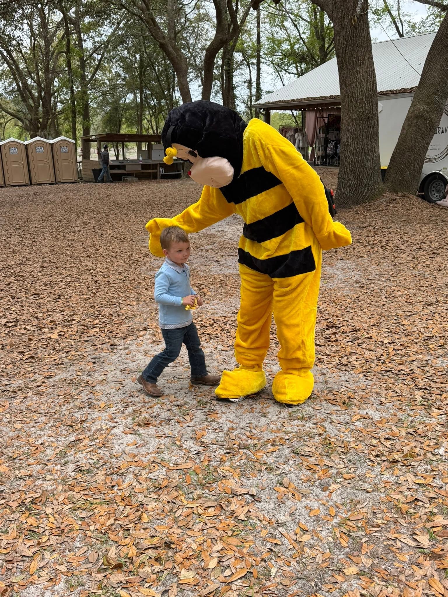 Toddler boy walking alongside an AC Bee mascot at a community event
